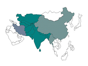 South Asia Regional Map