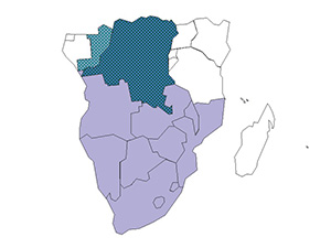 South Africa Regional Map
